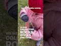 Easy Outdoor Toddler Activity Idea