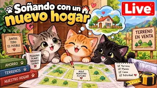 Por un hogar seguro - michi house