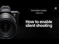 Lagu Sony | How To's | How to enable Silent Shooting for Sony Alpha cameras
