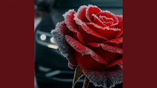 Розовий туман 