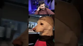 ترند ويعيبو فيا بتوع امبارح نسخة الكلاب     دندنها