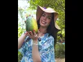 Full vd on YT: Diana Manadil https://youtu.be/JU0Rk_OlRkw