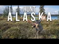 How to Hunt in Alaska as a NON-RESIDENT Hunt Alaska Next Year
