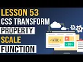 CSS transform Property scale function CSS Tutorial in Hindi Lesson 53