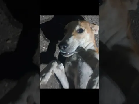 Mai khul ke roya karunga , jab barsaat aavegi #love #shorts #viral #bhati