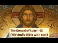 Luke 1-12 NIV Bible with text