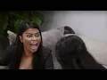 Married At First Sight Australia s Biggest Ever Fights