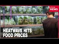 Heatflation hits Korea as heatwave drives up vegetable and seafood prices
