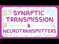 Psychology - Synaptic Transmission Neurotransmitters