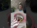 Can you catch it