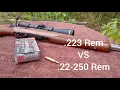 Is The 22-250 Remington Right For You