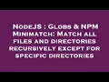 NodeJS Globs NPM Minimatch Match all files and directories recursively except for specific dire