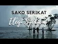 Download Lagu SAKO SERIKAT - ELEGI SIJOBANG