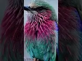 Download Lagu https://www.facebook.com/share/r/1AciMn93Cb/https://vt.tiktok.com/ZSDTgUFSq/#shorts #baby #funny