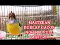 Lagu kolibri kelapa | manggar | wiceh | masteran korlap gacor ngotot full materi korlap bahan ikut gacor