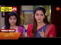 Download Lagu Kayal - Weekly Recap | 15 Apr 2024 - 20 Apr 2024 | Sun TV