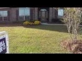 438 Swaying Willow Avenue Fairhope Al 36532