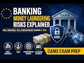 Banking ML Risks Explained Shell Companies PEPs Correspondent Banking More CAMS Exam Prep
