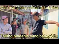 Lagu WAH GAK NYANGK4 EVAKUAS1 ULAR KING COBRA SUPER HITAM DI TENGAH KOTA