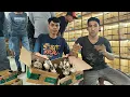 Download Lagu BONGKARAN BURUNG LOKAL PACITAN - PONORGO !!! ANAKAN CENDET - CIGUN - SOGON - JONGKAGAN DLL