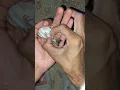 Bird egg bound