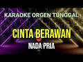 Download Lagu CINTA BERAWAN / NADA PRIA / RITA SUGIARTO / KARAOKE ORGEN TUNGGAL