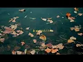 be still - a christian indie folk relaxing playlist