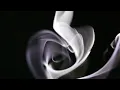 Kiasmos - Held (Official Music Video)