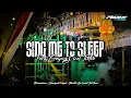 DJ SING ME TO SLEEP PARTY GAYANG VIRAL TIKTOK 2025 - MBAHE MUSIC RMX