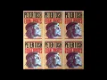 Peter Tosh "Jah Guide" Dub Plate