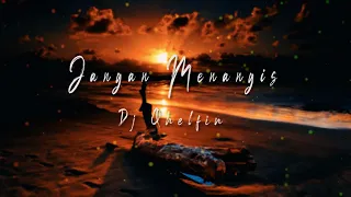 Download Jangan Menangis_Official Video Lirik (Dj Qhelfin) MP3