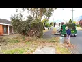 Neighbour saw the Crazy Cleanup next Door and asked me for a Quote