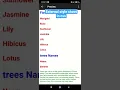 External style sheet in css