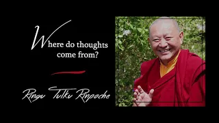 Download 56. Where do thoughts come from | Answers for Beginners | Ringu Tulku Rinpoche MP3