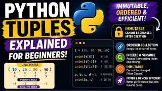 Python Tuples Explained for Beginners Tuples vs Lists Indexing