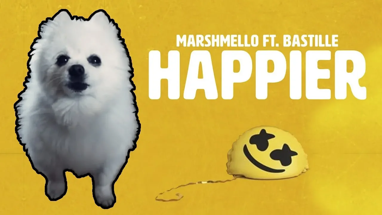 MARSHMELLO ft. BASTILLE - 'HAPPIER' em CACHORRÊS