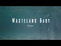 Wasteland Baby (Lyrics) by Hozier