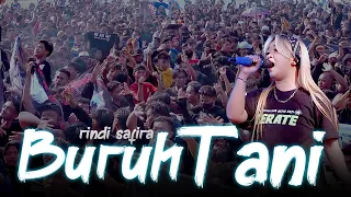 lagu terbaik 2025 rindi safira buruh tani admaja music mm audio aditjaya pictures