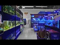 Now THIS Is A Fish Store - AQUARIUMS UNLIMITED