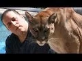 Cougar Man Living With A Mountain Lion