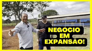 NEGÓCIO em EXPANSÃO com a CRIAÇÃO de GALINHAS para PRODUÇÃO de OVOS CAIPIRAS