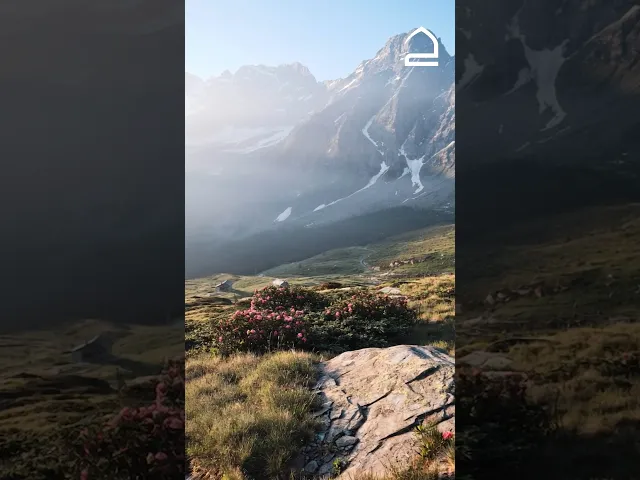 ⁣دعاء الصباح 