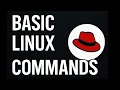 Basic Linux Commands for Beginners Create Copy Move and Remove Files Directories
