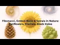 Fibonacci Golden Ratio Spirals in Nature Sunflowers Fractals Black Holes