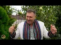 Lagu Cornel Cojocaru \u0026 Ionut de la Naipu - Sa veniti copii pe acasa (oficial video)