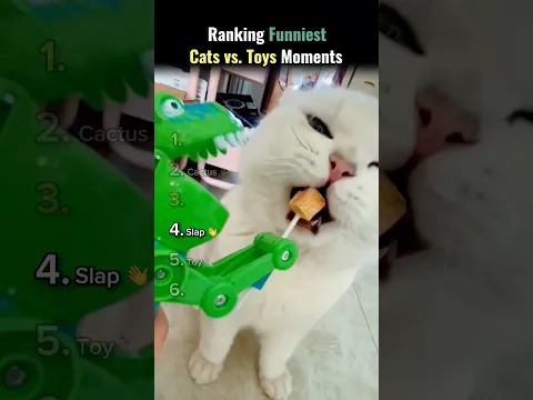 Ranking Funniest Cats vs. Toys.. 😼🪀