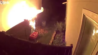 Moment Neighbor Warns Family of Fire, Prompting Crazy Naked Viral Fire Fight