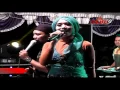 Download Lagu DUDA KETEMU JANDA   Vika Feat Ary Woles