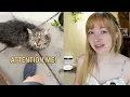 Download Lagu This Cat KEEPS Interrupting me! \u0026 a Surprise Visitor