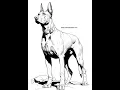 Free Printables Dog and Puppy Coloring Pages 208